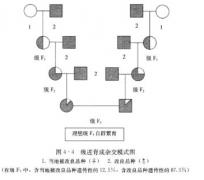 2019年自考《水产繁殖育苗技术》专项复习题：论述题